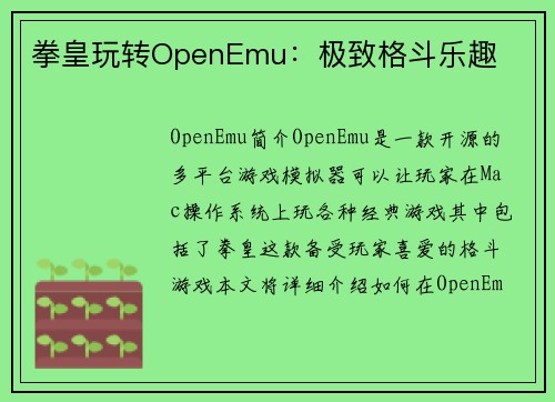 拳皇玩转OpenEmu：极致格斗乐趣